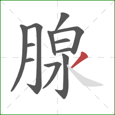 腺的笔顺第12画：撇