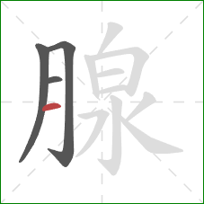 腺的笔顺第4画：横