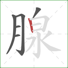 腺的笔顺第6画：竖