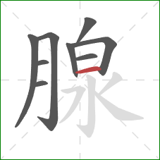 腺的笔顺第9画：横