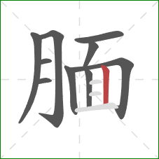 腼的笔顺第10画：竖