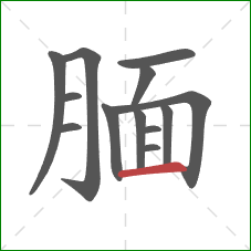 腼的笔顺第13画：横