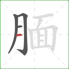 腼的笔顺第4画：横