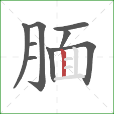 腼的笔顺第9画：竖