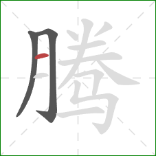 腾的笔顺第3画：横