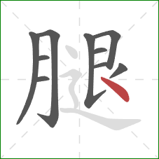 腿的笔顺第10画：点