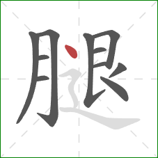 腿的笔顺第11画：点