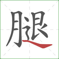 腿的笔顺第13画：捺