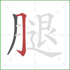 腿的笔顺第2画：横折钩