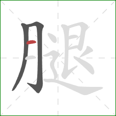 腿的笔顺第3画：横