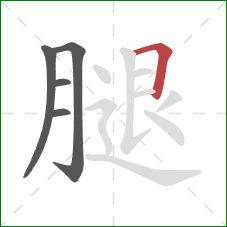 腿的笔顺第5画：横折