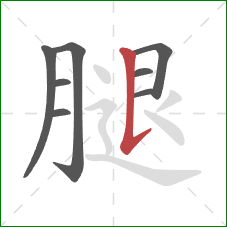 腿的笔顺第8画：竖提