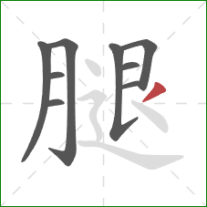 腿的笔顺第9画：撇