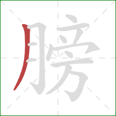 膀的笔顺第1画：撇