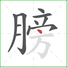 膀的笔顺第11画：点