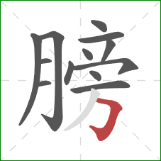 膀的笔顺第13画：横折钩