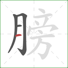 膀的笔顺第4画：横