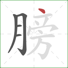 膀的笔顺第5画：点