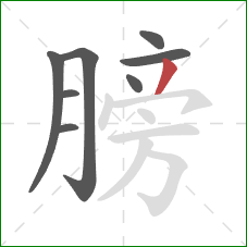 膀的笔顺第8画：撇