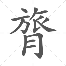 膂的笔顺
