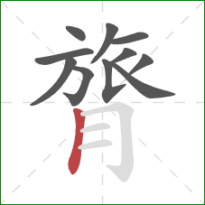 膂的笔顺第11画：竖