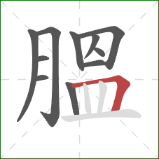 膃的笔顺第11画：横折