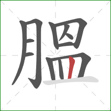 膃的笔顺第13画：竖