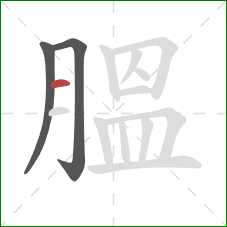 膃的笔顺第3画：横