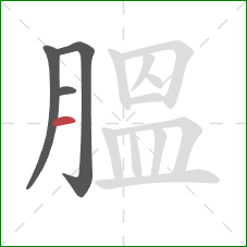 膃的笔顺第4画：横