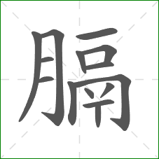 膈的笔顺 膈的笔顺