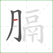 膈的笔顺第3画:横 膈的笔顺第3画:横