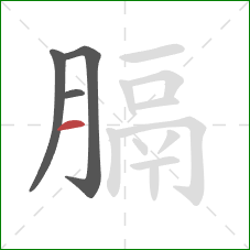 膈的笔顺第4画:横 膈的笔顺第4画:横