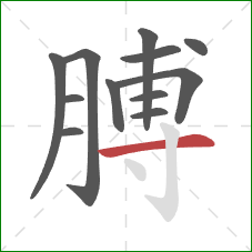 膊的笔顺第12画：横