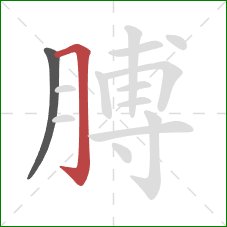 膊的笔顺第2画：横折钩