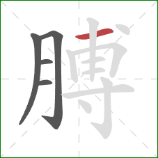 膊的笔顺第5画：横