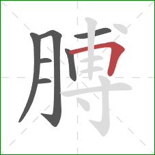 膊的笔顺第7画：横折