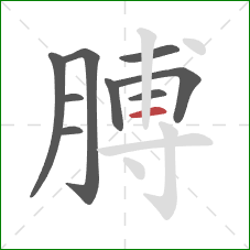 膊的笔顺第9画：横