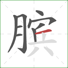 膑的笔顺第10画：横