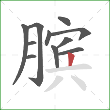 膑的笔顺第11画：竖