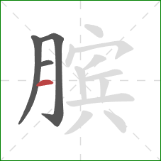 膑的笔顺第4画：横