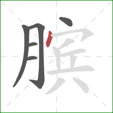 膑的笔顺第6画：点