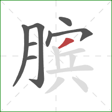 膑的笔顺第8画：撇