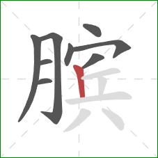 膑的笔顺第9画：竖