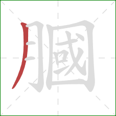 膕的笔顺第1画：撇