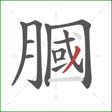 膕的笔顺第13画：撇