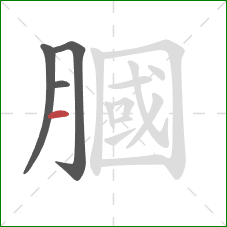 膕的笔顺第4画：横