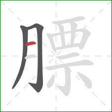 膘的笔顺第3画:横 膘的笔顺第3画:横