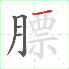 膘的笔顺第5画:横 膘的笔顺第5画:横