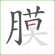 膜的笔顺第10画：横