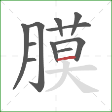 膜的笔顺第11画：横